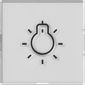Wippe BSF + Symb. Licht groß tastbar System 55 Farbneutral Gira 321600