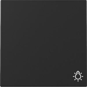 Wippe Symb. Licht System 55 Schwarz m Gira 3285005