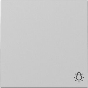 Wippe Symb. Licht System 55 Grau m Gira 3285015