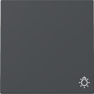Wippe Symb. Licht System 55 Anthrazit Gira 328528