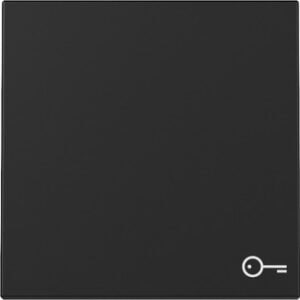 Wippe Symb. Tür System 55 Schwarz m Gira 3287005