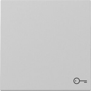 Wippe Symb. Tür System 55 Grau m Gira 3287015