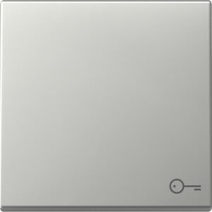 Wippe Symb. Tür System 55 Edelstahl Gira 3287600