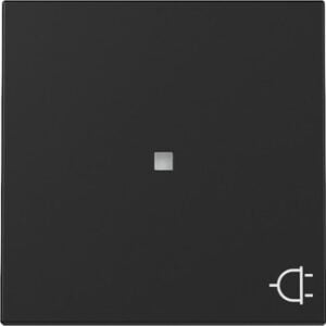 Wippe Kontrollf. + Symb. Steckd. System 55 Schwarz m Gira 3291005