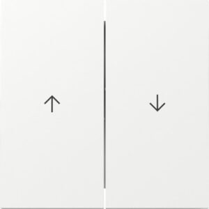 Wippe 2f Pfeil Flächenschalter Reinweiß Gira 329470