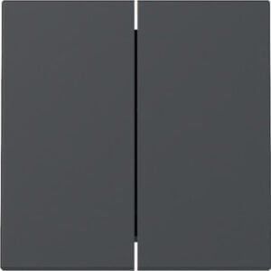 Wippe 2f System 55 Anthrazit Gira 329528