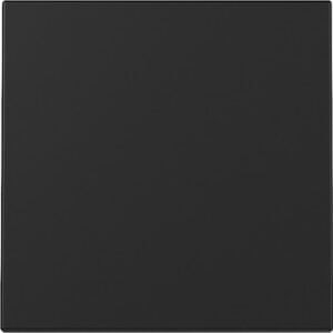 Wippe System 55 Schwarz m Gira 3296005