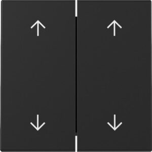 Wippe 2f Pfeile System 55 Schwarz m Gira 3297005