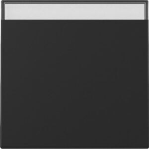 Wippe BSF System 55 Schwarz m Gira 3299005