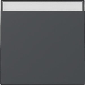 Wippe BSF System 55 Anthrazit Gira 329928