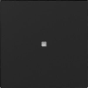Wippe gerade Kontrollf. System 55 Schwarz m Gira 3490005