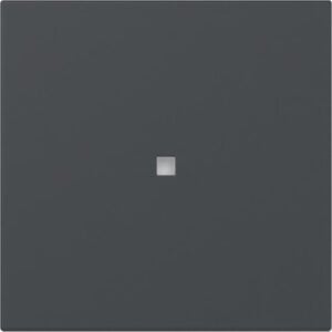Wippe gerade Kontrollf. System 55 Anthrazit Gira 349028