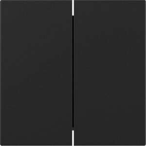 Wippe 2f gerade System 55 Schwarz m Gira 3495005