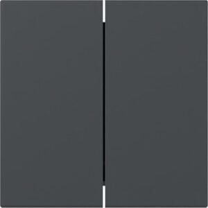 Wippe 2f gerade System 55 Anthrazit Gira 349528