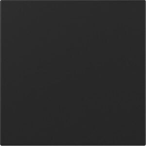 Wippe gerade System 55 Schwarz m Gira 3496005