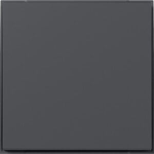Wippe gerade Gira TX_44 Anthrazit Gira 349667