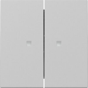 Wippe 2f Kontrollf. System 55 Grau m Gira 3631015