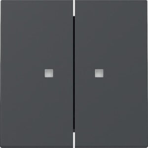 Wippe 2f Kontrollf. System 55 Anthrazit Gira 363128