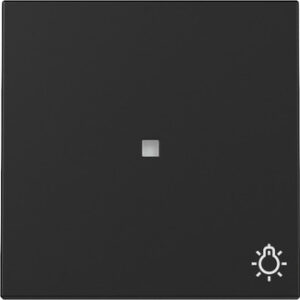 Wippe Kontrollf. + Symb. Licht System 55 Schwarz m Gira 3674005