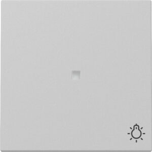 Wippe Kontrollf. + Symb. Licht System 55 Grau m Gira 3674015