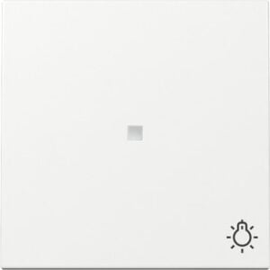 Wippe Kontrollf. + Symb. Licht System 55 Reinweiß Gira 367403