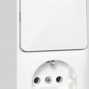 Kombi AusWe/SCHUKO senkr. + Montagepl. AP Reinweiß Gira 417613