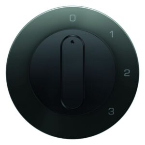 Zentralstück m Drehk für 3S R.1/R.3 schw, Berker 1096204500