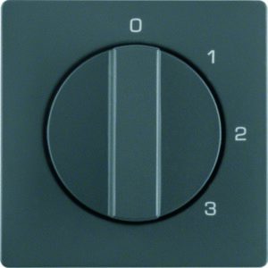 Zentralstück m Drehk für 3S Q.1/Q.3 anth, Berker 1096608600