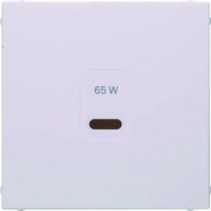 Z-ST für USB S.1, pw matt, Berker 48601909