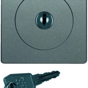 Zentralstück m Schloss für Jal. Q.x alu, Berker 1083608400