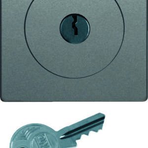 Zentralstück m Schloss für Jal. Q.x alu, Berker 1081608400
