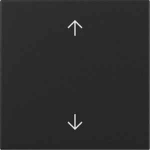 Wippe Pfeile System 55 Schwarz m Gira 3616005