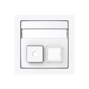 Zentralscheibe 2-fach Infoline Busch-art linear® 1572 CN-44G Busch Jaeger 2CKA001582A0447