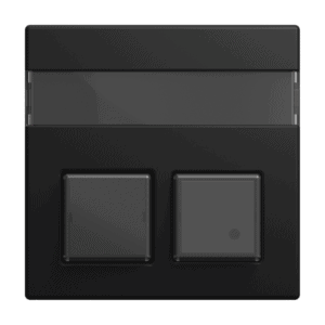 Zentralscheibe 2-fach, mit Beschriftungsfeld Busch-balance® SI 1572 CN-915 Busch Jaeger 2CKA001582A0458
