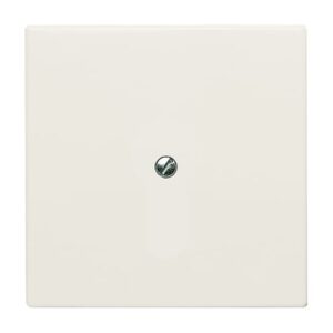 Blindzentralscheibe mit Tragring 2138-32 Busch Jaeger 2CKA001710A2264