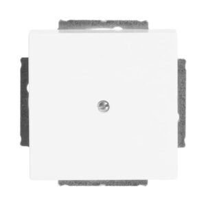 Blindzentralscheibe mit Tragring 1742-84 Busch Jaeger 2CKA001710A3161