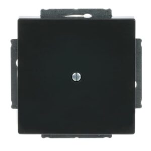 Blindzentralscheibe mit Tragring 1742-81 Busch Jaeger 2CKA001710A3612