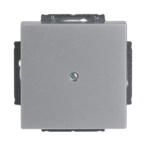 Blindzentralscheibe mit Tragring 1742-83 Busch Jaeger 2CKA001710A3664