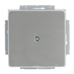 Blindzentralscheibe mit Tragring 1742-866 Busch Jaeger 2CKA001710A3751