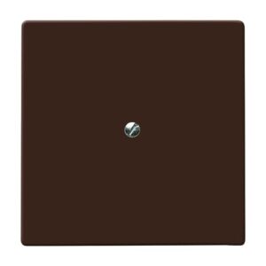 Blindzentralscheibe mit Tragring 2138-31 Busch Jaeger 2CKA001710A3799