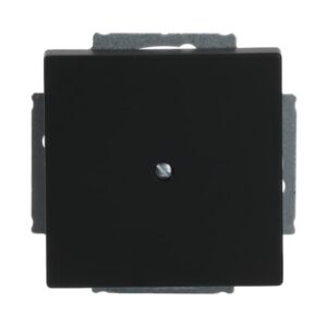 Blindzentralscheibe mit Tragring 1742-885 Busch Jaeger 2CKA001710A3895