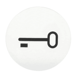 Abtastbares Symbol Schlüssel 2144 TR Busch Jaeger 2CKA001714A0297