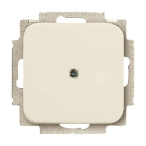 Blindzentralscheibe mit Tragring 2538-212 Busch Jaeger 2CKA001715A0218