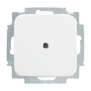 Blindzentralscheibe mit Tragring  Reflex SI/SI Linear 2538-214 Busch Jaeger 2CKA001715A0275
