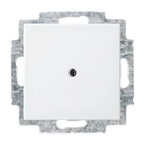 Blindzentralscheibe mit Tragring  Busch-balance® SI 2538-914 Busch Jaeger 2CKA001715A0319