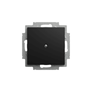 Blindzentralscheibe mit Tragring  Busch-balance® SI 2538-915 Busch Jaeger 2CKA001715A0321