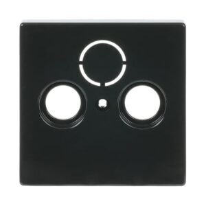 Zentralscheibe als Abdeckung für handelsübliche Antennensteckdosen 1743-81 Busch Jaeger 2CKA001724A4252