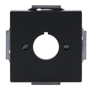 Zentralscheibe mit Tragring 2533-81 Busch Jaeger 2CKA001724A4254