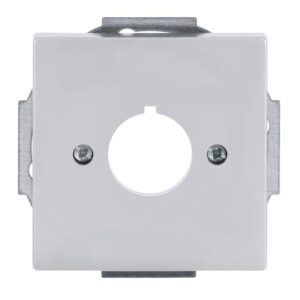 Zentralscheibe mit Tragring 2533-83 Busch Jaeger 2CKA001724A4261