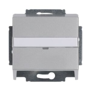 Zentralscheibe mit Tragring 1758-83 Busch Jaeger 2CKA001724A4263